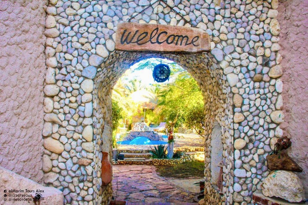 Dream Lodge Siwa Siwa Oasis Экстерьер фото