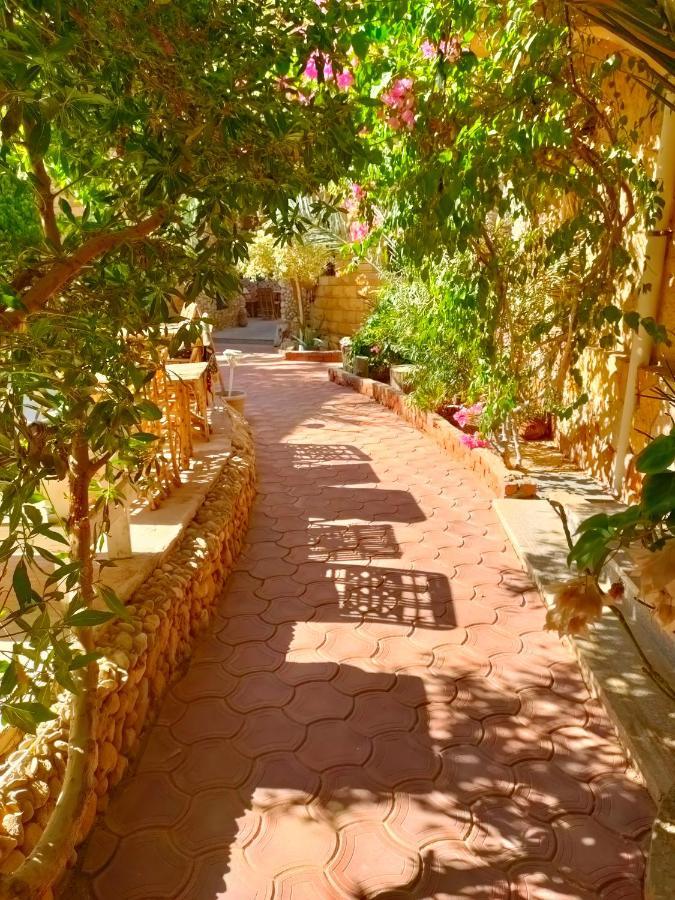 Dream Lodge Siwa Siwa Oasis Экстерьер фото