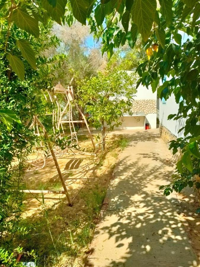 Dream Lodge Siwa Siwa Oasis Экстерьер фото
