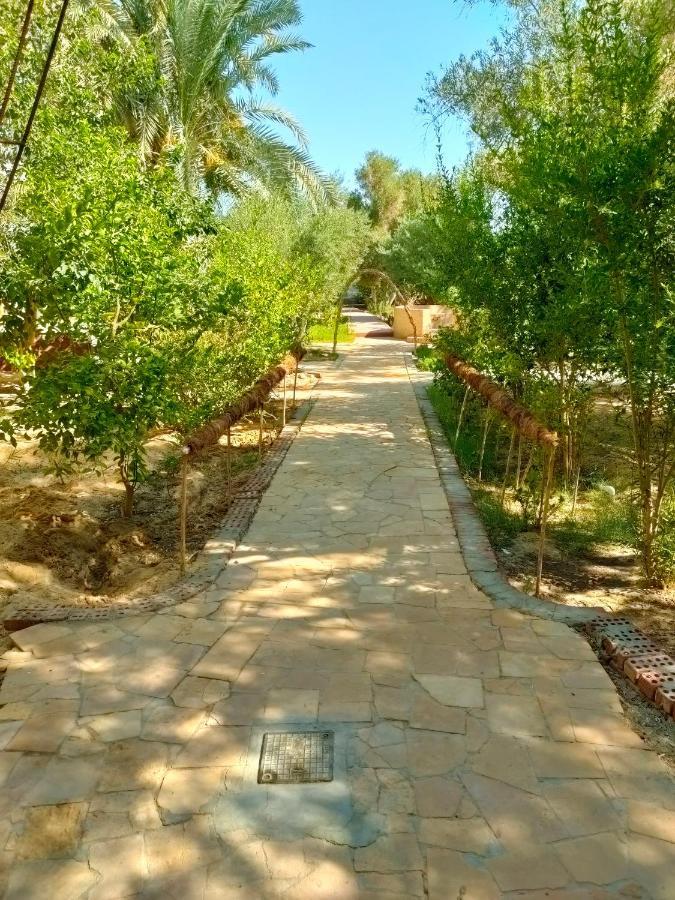 Dream Lodge Siwa Siwa Oasis Экстерьер фото