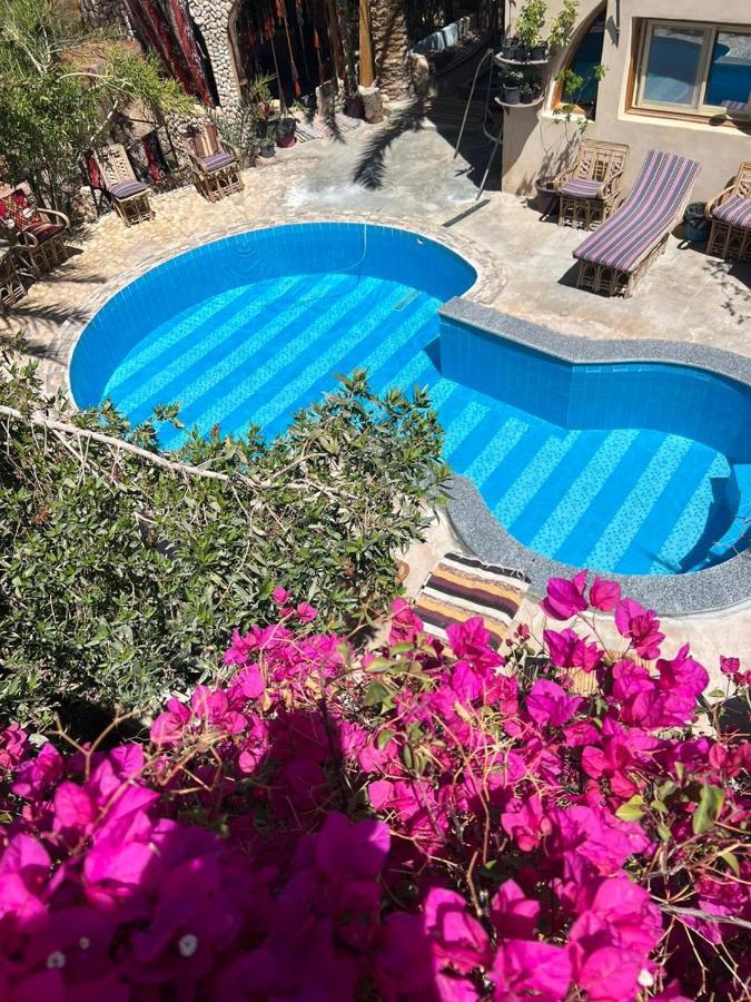 Dream Lodge Siwa Siwa Oasis Экстерьер фото